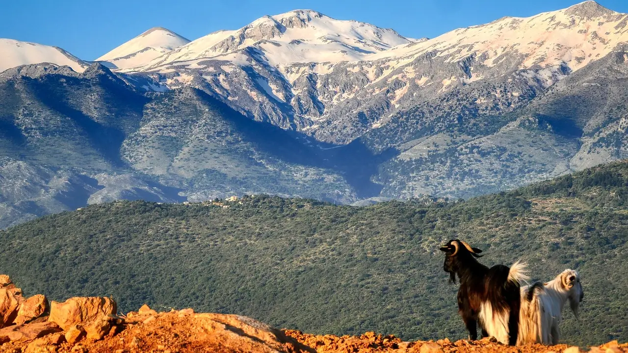 crete white mountains specialty