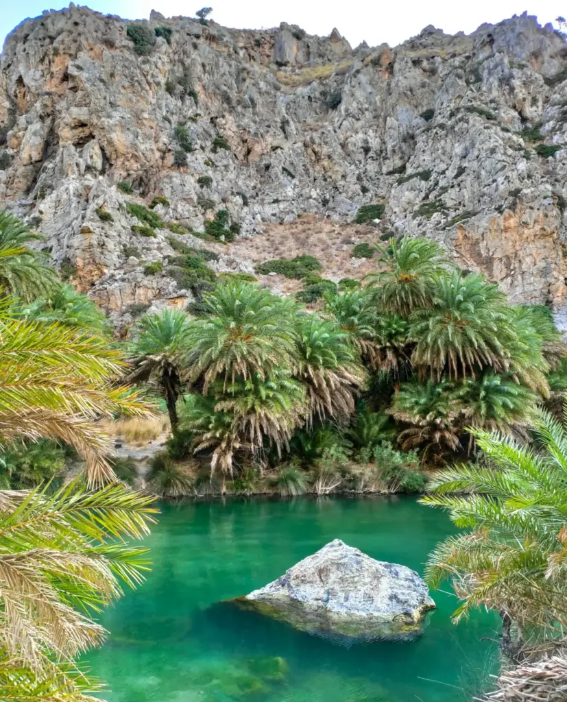 vai palm forest crete totsi