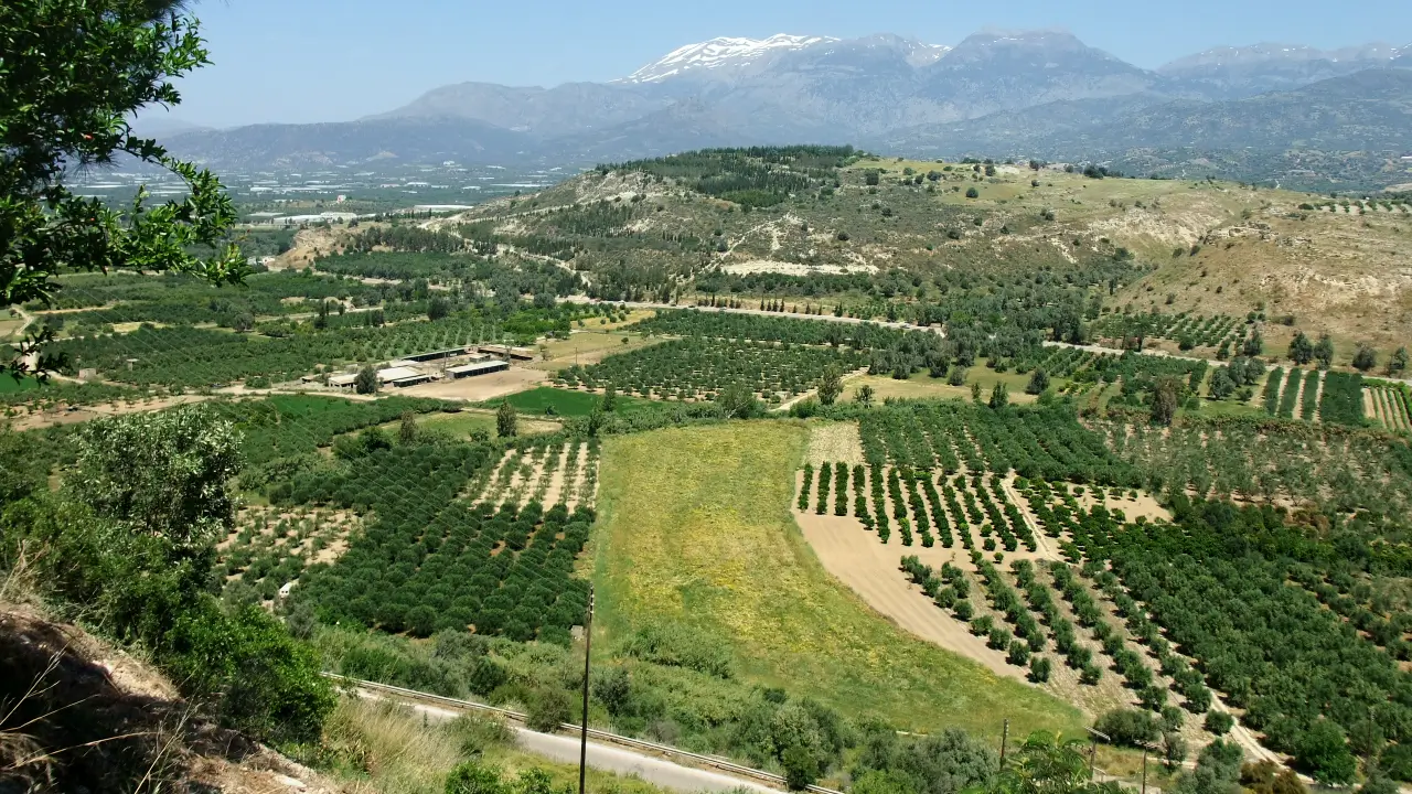 crete agriculture island